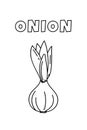 Coloring With Thick Lines For The Little Ones. Onion