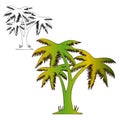 Coloring three palms, drawing on white background,