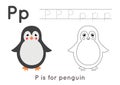 Coloring and tracing page with letter P and cute cartoon penguin. Royalty Free Stock Photo