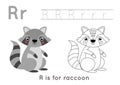 Coloring and tracing page with letter R and cute cartoon raccoon. Royalty Free Stock Photo