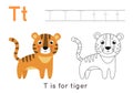 Coloring and tracing page with letter T and cute cartoon tiger. Royalty Free Stock Photo