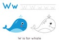 Coloring and tracing page with letter W and cute cartoon whale. Royalty Free Stock Photo