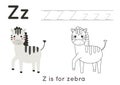 Coloring and tracing page with letter Z and cute cartoon zebra. Royalty Free Stock Photo