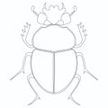 Coloring vector. Egyptian Scarab beetle. Royalty Free Stock Photo