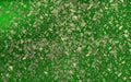 Colorist imagen of stains over green background