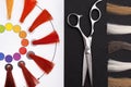 Coloristic circle. Hairdresser Accessories Royalty Free Stock Photo