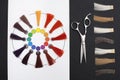 Coloristic circle. Hairdresser Accessories Royalty Free Stock Photo