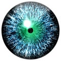 Colorized animal blue eyeball 3d