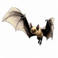 Colorized Exotic Bat Flying High In Realistic Animal Portrait Style