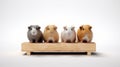 Colorized Innovative Guinea Pigs Carrying Wooden Box