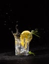 Colorless alcoholic drink in a glass with a slice of lemon and rosemary, splash. Vodka on a black background Royalty Free Stock Photo