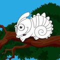 Colorless cartoon chameleon on branch on colorful background. Template coloring book of fun lizard for kids. Coloring page Royalty Free Stock Photo