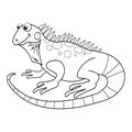 Colorless cartoon Iguana. Coloring pages. Template page for coloring book of funny lizard or salamander for kids. Practice Royalty Free Stock Photo