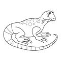 Colorless cartoon Lizard. Coloring pages. Template page for coloring book of funny iguana or salamander for kids. Practice Royalty Free Stock Photo