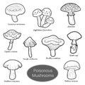 Colorless set of poisonous mushrooms Royalty Free Stock Photo