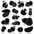 Colorless set with tropical fruits, vector cartoon stickers Royalty Free Stock Photo