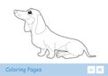 Colorless vector contour image of a sitting dog isolated on white background. Pets-related preschool kids coloring book