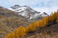 Coloroful autumn mountains landscape, italian Alps Royalty Free Stock Photo