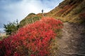 Coloroful autumn mountains landscape, italian Alps Royalty Free Stock Photo