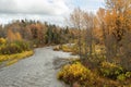 Fall Colors along the Anchor River in Alaska Royalty Free Stock Photo