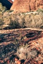 Colors of Australian Outback Royalty Free Stock Photo