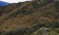 The colors of Autumn appear on the mountain, corollarizing it