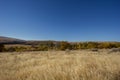 The colors of autumn contrast with the field of dried grass and the blue sky