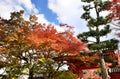 Colors of autumn leaves and red gate of Temple, Kyoto Japan. Royalty Free Stock Photo