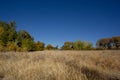 The colors of autumn line the paths of the trails on Snow Mountain Ranch. Royalty Free Stock Photo