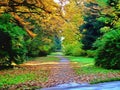 Colors of autumn - a long and lonesome road in the park Royalty Free Stock Photo