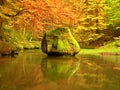 Colors of autumn mountain river. Mossy boulder in cold water