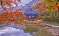 Colors of Autumn at Naejangsan South Korea Royalty Free Stock Photo