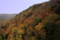 Colors of Autumn near Agawa Canyon, Canada Royalty Free Stock Photo