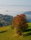 Colors of the autumn rural landscape of the hills in Slovakia, Podpolanie region, Hrinova.