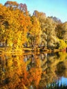 Colors of autumn - trees and river Royalty Free Stock Photo