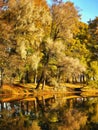 Colors of autumn - trees and river Royalty Free Stock Photo