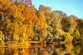 Colors of autumn - trees and river Royalty Free Stock Photo