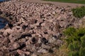 Colors of autumn -various stones at the river side