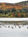 Fall tree colors on Dryden Lake in Central New York