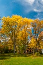 Colors of the fall foliage Royalty Free Stock Photo
