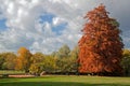 Colors of Fall season around the city park Royalty Free Stock Photo