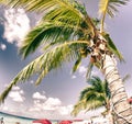 Colors of Grand Turk Beach Royalty Free Stock Photo