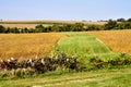 Colors of Iowa