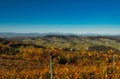 The colors of the Langhe in autumn in Serralunga D`Alba, with the vineyards and hills Royalty Free Stock Photo