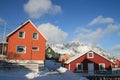 Colors of Lofoten Royalty Free Stock Photo