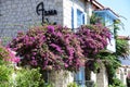 Colors and Looks of Summer in Alacati, Izmir, Turkey