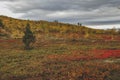 Colors of northern Norway in autumn Royalty Free Stock Photo