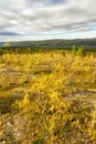 Colors of northern Norway in autumn Royalty Free Stock Photo