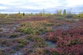 Colors of northern Norway in autumn Royalty Free Stock Photo