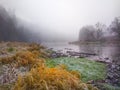 Colors of November, foggy river bank with a frosted grass